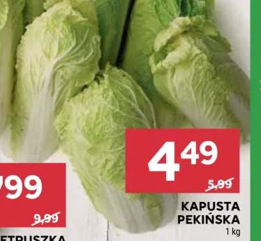 kapusta pekińska