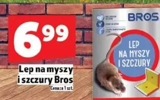 płatki na myszy i szczury