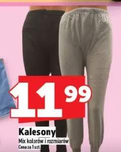 kalesony