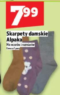 Skarpety damskie Alpaka