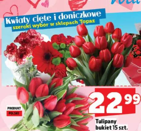 Kwiaty cięte tulipany bukiet 15 szt.