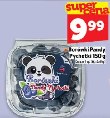 Borówki Pandy Pychotki