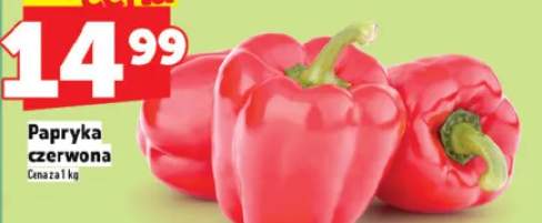 Papryka czerwona