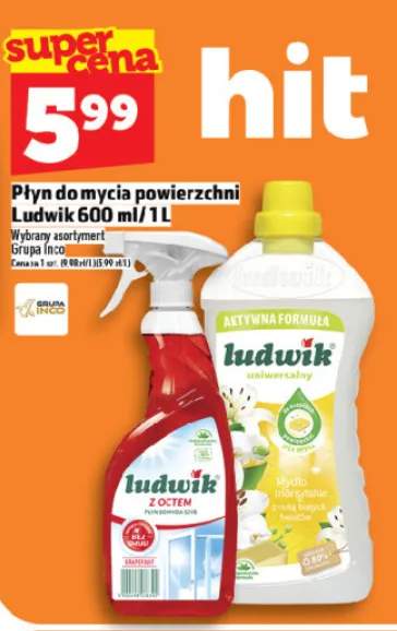 Płyn do mycia powierzchni Ludwik 600 ml