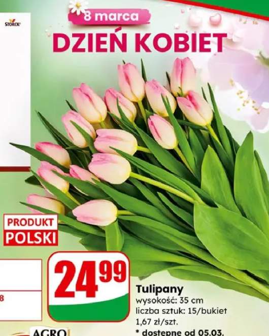 tulipany