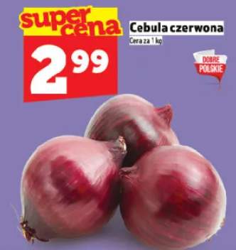 Cebula czerwona