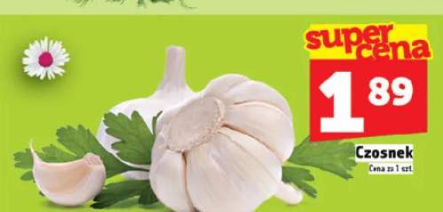 Czosnek