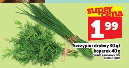 Szczypior drobny 30g / koperek 40g