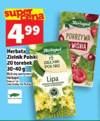 Herbata Zielnik Polski 20 torebek