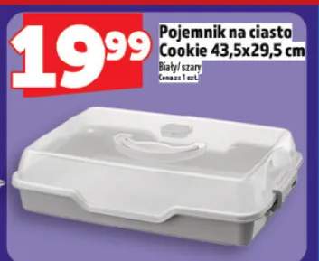 Pojemnik na ciasto Cookie 43,5x29,5 cm