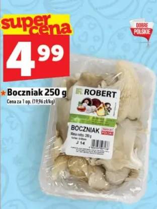 Boczniaki