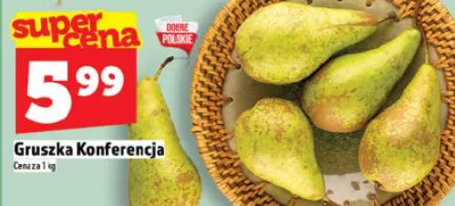 Gruszka Konferencja