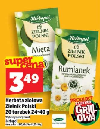 Herbata ziołowa Zielnik Polski Rumianek 20 torebek