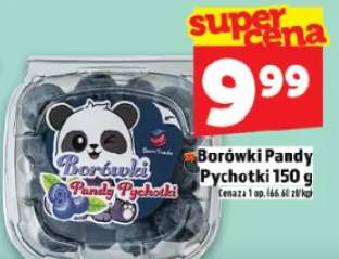 Borówki Pandy Pychotki