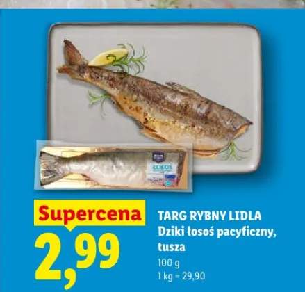 łosoś dziki