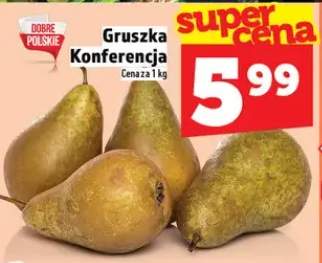 Gruszka Konferencja