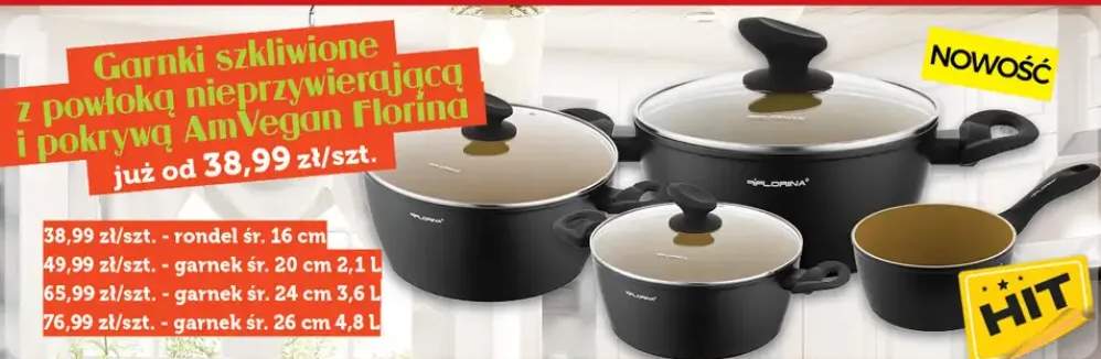 Garnek szkliwiony z powłoką nieprzywierającą i pokrywą AmVegan Florina śr. 24cm 3,6l