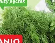 koperek