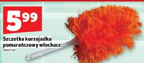Szczotka kurzojadka pomarańczowy włochacz