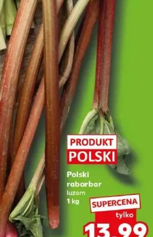 rabarbar