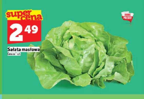 Sałata masłowa