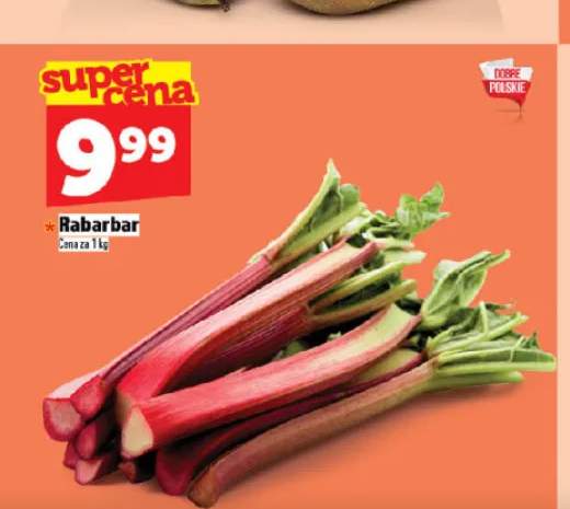 Rabarbar