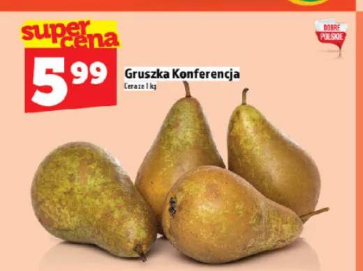 Gruszka Konferencja