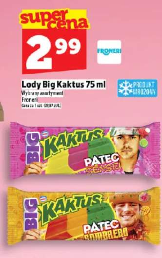Lody Big Kaktus Patec Sensei