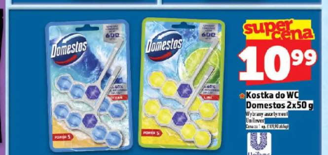 Kostka do WC Domestos 2x50g