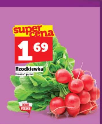 Rzodkiewka