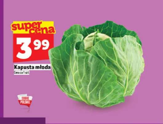 Kapusta młoda