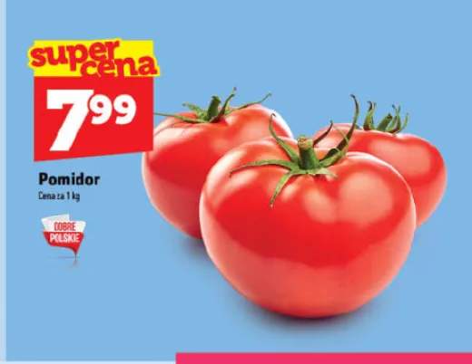 Pomidor polski