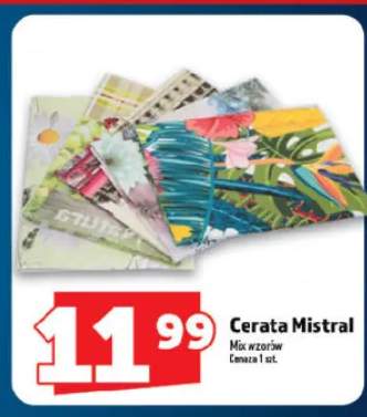 Cerata Mistral