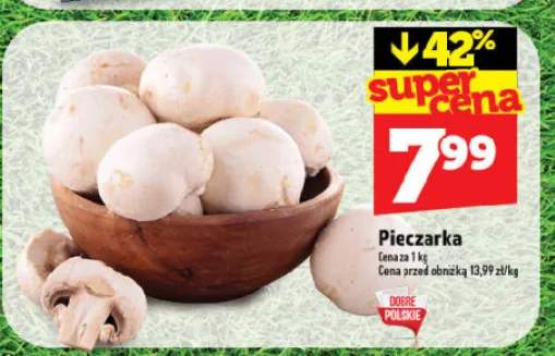 Pieczarka