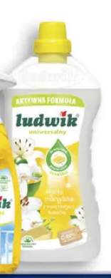 Płyn uniwersalny Ludwik