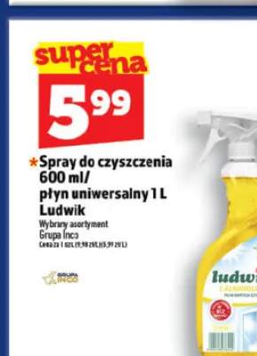 Spray do czyszczenia Ludwik