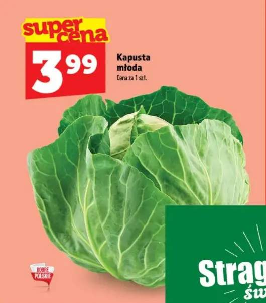 Kapusta młoda