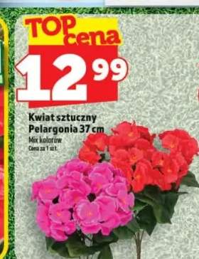 Kwiat sztuczny Pelargonia 37cm