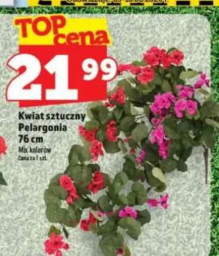 Kwiat sztuczny Pelargonia 76cm