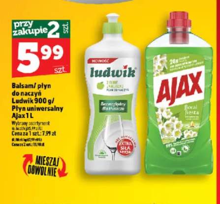 Płyn do naczyń Ludwik