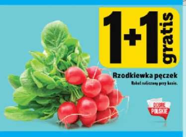 Rzodkiewka pęczek