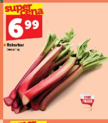 Rabarbar