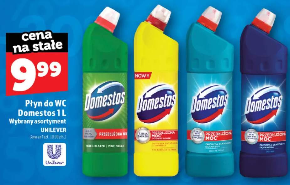 Płyn do WC Domestos Extended Power Pine Fresh