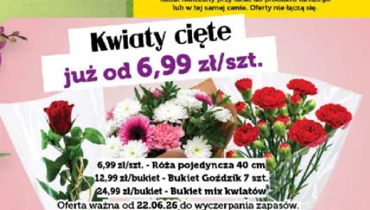 Róża pojedyncza 40 cm +2 warianty