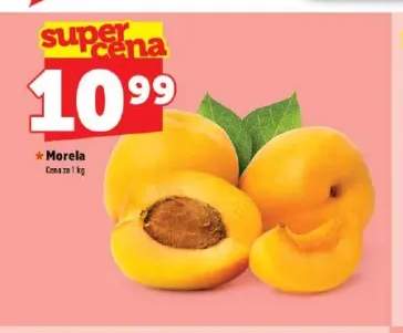 Morela