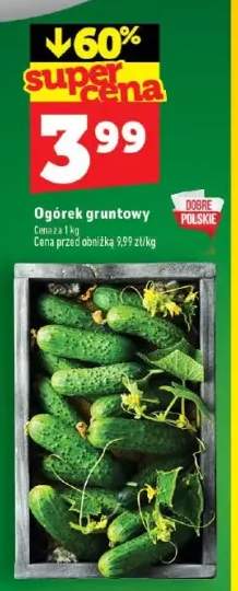 Ogórek gruntowy