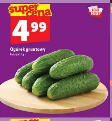 Ogórek gruntowy