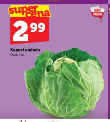 Kapusta młoda