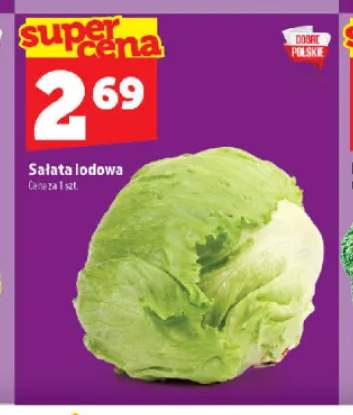 Sałata lodowa
