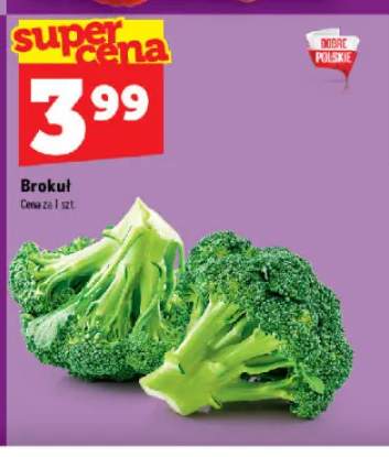 Brokuł